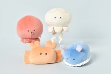 ブルーブルーエジャパン株式会社のプレスリリース画像9