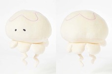 ブルーブルーエジャパン株式会社のプレスリリース画像3