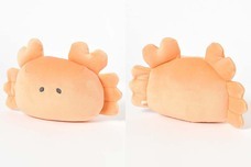 ブルーブルーエジャパン株式会社のプレスリリース画像5