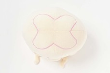 ブルーブルーエジャパン株式会社のプレスリリース画像6