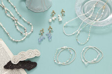 ブルーブルーエジャパン株式会社のプレスリリース画像13