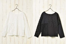 ブルーブルーエジャパン株式会社のプレスリリース画像3