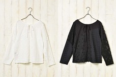 ブルーブルーエジャパン株式会社のプレスリリース画像2