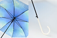 ブルーブルーエジャパン株式会社のプレスリリース画像8