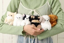 ブルーブルーエジャパン株式会社のプレスリリース画像16