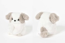 ブルーブルーエジャパン株式会社のプレスリリース画像5