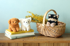 ブルーブルーエジャパン株式会社のプレスリリース画像18