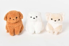 ブルーブルーエジャパン株式会社のプレスリリース画像7