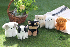 ブルーブルーエジャパン株式会社のプレスリリース画像1