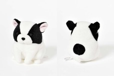 ブルーブルーエジャパン株式会社のプレスリリース画像3