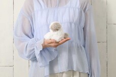 ブルーブルーエジャパン株式会社のプレスリリース画像6