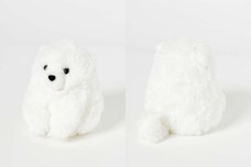 ブルーブルーエジャパン株式会社のプレスリリース画像9