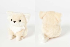 ブルーブルーエジャパン株式会社のプレスリリース画像10