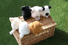 ブルーブルーエジャパン株式会社のプレスリリース画像11