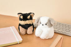 ブルーブルーエジャパン株式会社のプレスリリース画像13