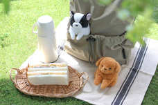 ブルーブルーエジャパン株式会社のプレスリリース画像15