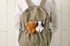 ブルーブルーエジャパン株式会社のプレスリリース画像14