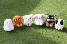 ブルーブルーエジャパン株式会社のプレスリリース画像2