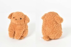 ブルーブルーエジャパン株式会社のプレスリリース画像8