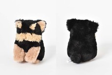 ブルーブルーエジャパン株式会社のプレスリリース画像4