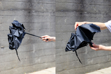 ブルーブルーエジャパン株式会社のプレスリリース画像3