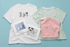 ブルーブルーエジャパン株式会社のプレスリリース画像11