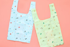 ブルーブルーエジャパン株式会社のプレスリリース画像9