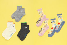 ブルーブルーエジャパン株式会社のプレスリリース画像19