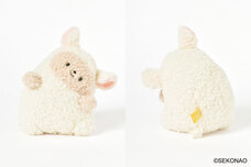 ブルーブルーエジャパン株式会社のプレスリリース画像4