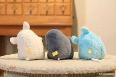 ブルーブルーエジャパン株式会社のプレスリリース画像7