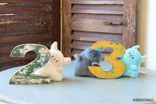 ブルーブルーエジャパン株式会社のプレスリリース画像13