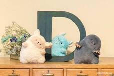 ブルーブルーエジャパン株式会社のプレスリリース画像14