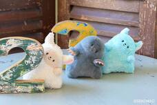 ブルーブルーエジャパン株式会社のプレスリリース画像1