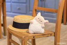 ブルーブルーエジャパン株式会社のプレスリリース画像12