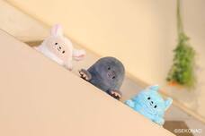 ブルーブルーエジャパン株式会社のプレスリリース画像6