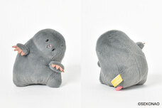 ブルーブルーエジャパン株式会社のプレスリリース画像3