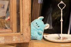 ブルーブルーエジャパン株式会社のプレスリリース画像11