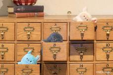 ブルーブルーエジャパン株式会社のプレスリリース画像8