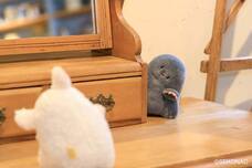 ブルーブルーエジャパン株式会社のプレスリリース画像10