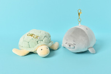 ブルーブルーエジャパン株式会社のプレスリリース画像11