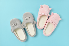 ブルーブルーエジャパン株式会社のプレスリリース画像15