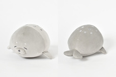 ブルーブルーエジャパン株式会社のプレスリリース画像5