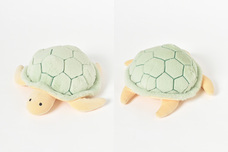 ブルーブルーエジャパン株式会社のプレスリリース画像4