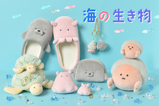 ブルーブルーエジャパン株式会社のプレスリリース画像1