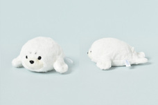 ブルーブルーエジャパン株式会社のプレスリリース画像8