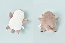 ブルーブルーエジャパン株式会社のプレスリリース画像7