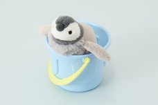 ブルーブルーエジャパン株式会社のプレスリリース画像18