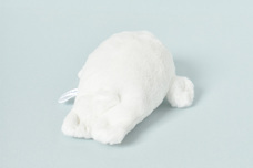 ブルーブルーエジャパン株式会社のプレスリリース画像10