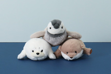 ブルーブルーエジャパン株式会社のプレスリリース画像14