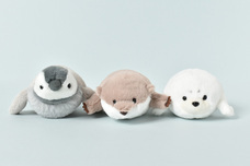 ブルーブルーエジャパン株式会社のプレスリリース画像12